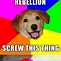 Image result for Cool Dog Meme