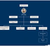 Image result for Business Types Comparison Chart