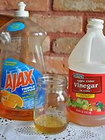 Image result for Liquid Fly Trap Bait