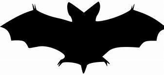 Image result for Brushy Bat Comic
