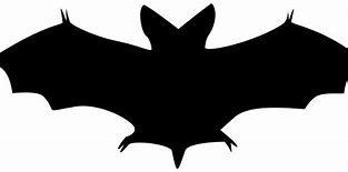 Image result for Bat-Shaped