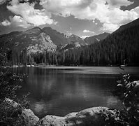 Image result for Mountain Forest Black and White