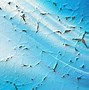 Image result for Cracked Screen Texture