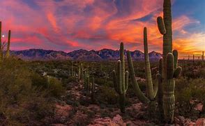 Image result for 4K Arizona Desert Landscape