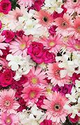 Image result for Pink Floral Wallpaper Designs