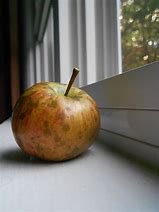 Image result for 100 Year Old Apple