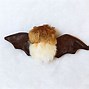 Image result for Cute Bat Stuffed Animal