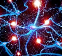 Image result for Brain Neurons Firing Free Image