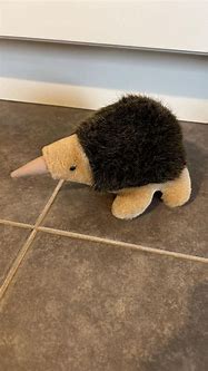 Image result for Echidna Plush Toy