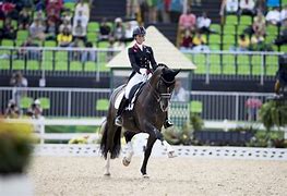 Image result for Olympic Dressage