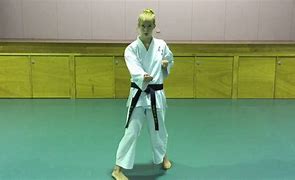 Image result for Types of Karate GI