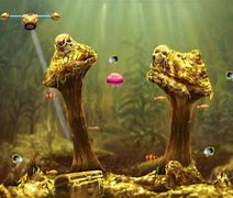 Image result for Animal Planet fish