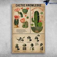 Image result for Cactus Structure