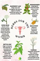 Image result for Womb Healing Herbs