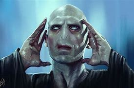 Image result for Lord Voldemort Memes Figure 4