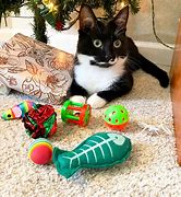 Image result for Christmas Gifts for Cats