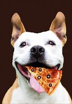 Image result for Dog Eating Pizza Pianting
