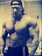 Image result for Triple H Muscles