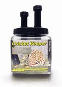 Image result for Cricket Reptile