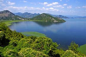 Image result for Skadarsko Jezero Crna Gora