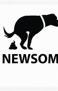 Image result for Gavin Newsom Family Home