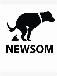 Image result for Gavin Newsom Official Portrait