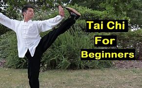 Image result for Tai Chi 24 Form