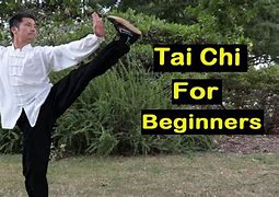Image result for Tai Chi 24 Positions