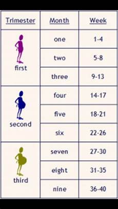 Weeks Months Pregnancy Chart Baby Pinterest