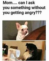 Image result for Relatable Mean Memes