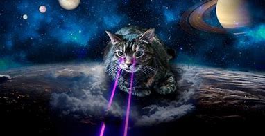 Image result for Trippy Space Cat