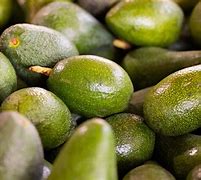 Image result for Avocado Fruit