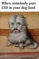 Image result for Cat Painting Meme