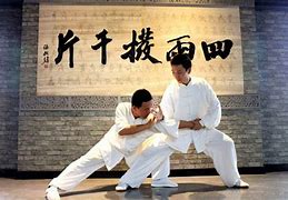 Image result for Tai Chi Fighting