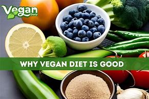 Image result for Why Vegan Diet