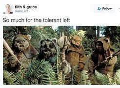 Image result for Ewok Dog Meme