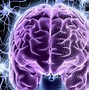 Image result for Brain HD