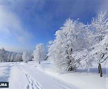 Image result for hiver