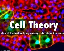 Image result for Brain Cell Universe Theory