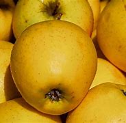 Image result for Apple Kashmiri Big