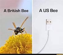Image result for Bee Girl Meme