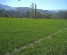 Image result for Professional Soccer Field