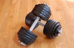 Image result for 100 Lbs Dumbbell