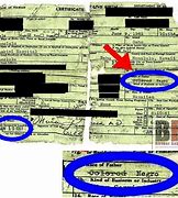 Image result for Hawaiian Birth Certificate