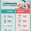Image result for Marijuana Effects On Your Body