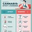 Image result for Negative Health Effects of Marijuana