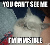 Image result for Not Really Invisible