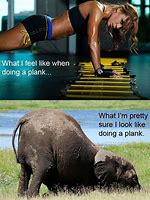 Image result for Funny Plank Video Meme