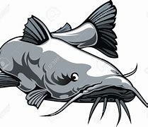 Image result for Clip Art for Fishing Catfish
