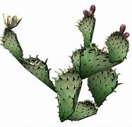 Image result for Cactus in Desert Art